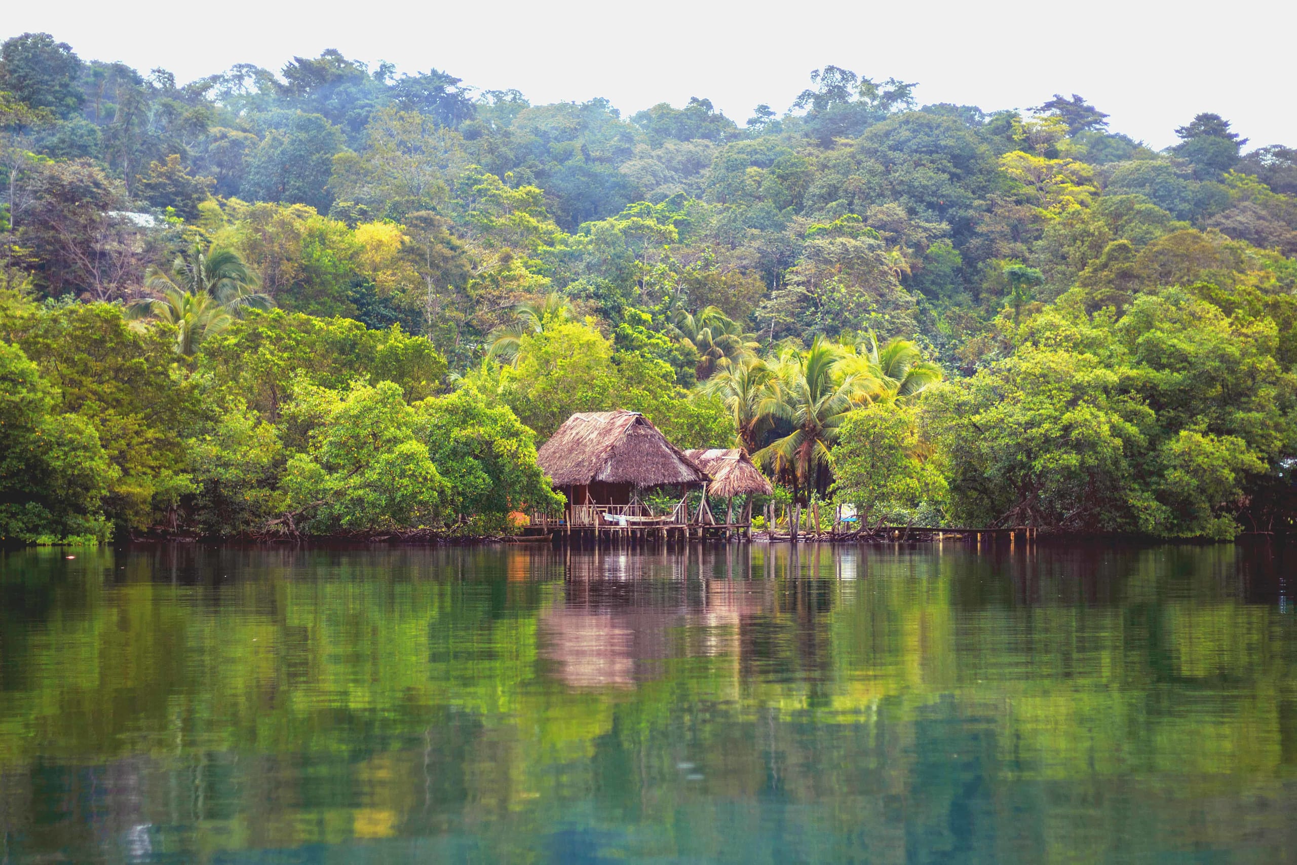 Stay and Explore Bocas del Toro Panama | Selina